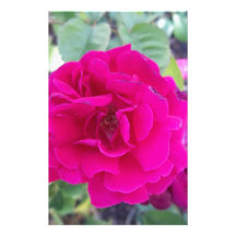 Purple Flower Stationery