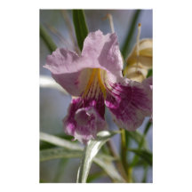 Purple Flower Stationery Paper