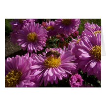 Purple Flowers and Bee Card