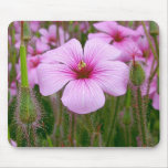 Purple Flowers Buds Petals On Grass Mousepad