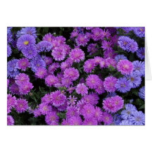 Purple Flowers Card