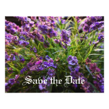 Purple flowers invite