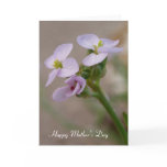 Purple Flowers Mother's Day Card
