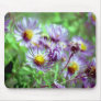 Purple Flowers