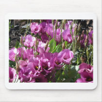 purple flowers mousepad