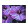 Purple Flowers Post Cards