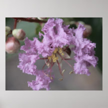 Purple Flowers Print