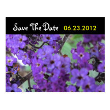 Purple Flowers Save The Date Wedding Postcard