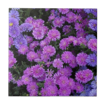 Purple Flowers Ceramic Tile