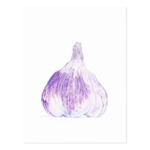 Purple Garlic Postcard
