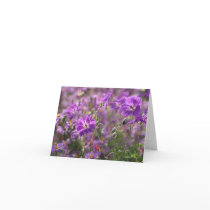 Purple geranium blank note card