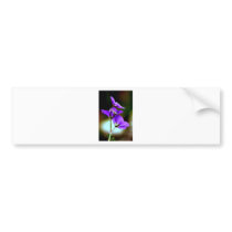 Purple Geranium Bumper Sticker