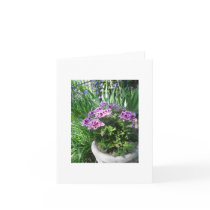 Purple Geranium in Pot Card