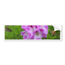Purple Geraniums Bumper Sticker