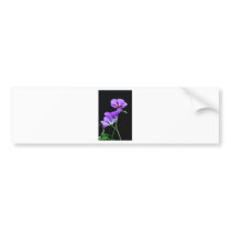 Purple Geraniums on Black Bumper Sticker