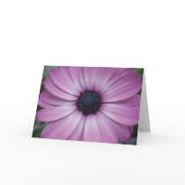Purple Gerbera Daisy Flower Greeting Card