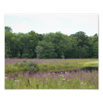 Purple Glory 2 of 9 - 10x8 Photograph Print