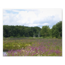 Purple Glory 4 of 9 - 10x8 Photographic Print