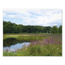 Purple Glory 9 of 9 - 10x8 Photographic Print