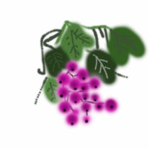 purple grapes and green leaves