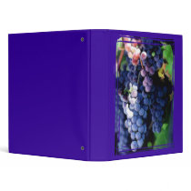 Purple Grapes Cluster