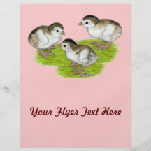 Purple Guinea Keets Custom Flyer