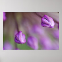 Purple Heads Poster