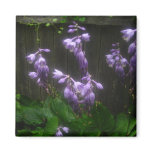 PURPLE HOSTA BELLS REFRIGERATOR MAGNETS