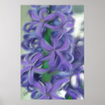 Purple Hyacinth 06` Posters