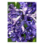 Purple Hyacinth  Invitation