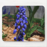 Purple Hyacinth Mouse Mats