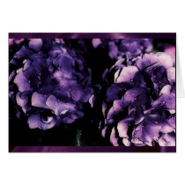 Purple Hydrangea floral, card templates