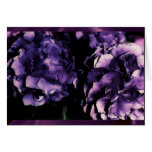 Purple Hydrangea floral, card templates