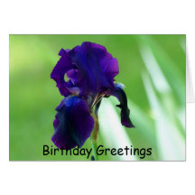 Purple Iris, Birthday Greetings Card