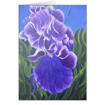 Purple Iris cards