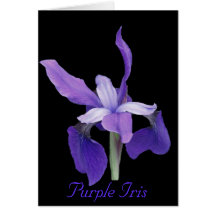 Purple Iris Card