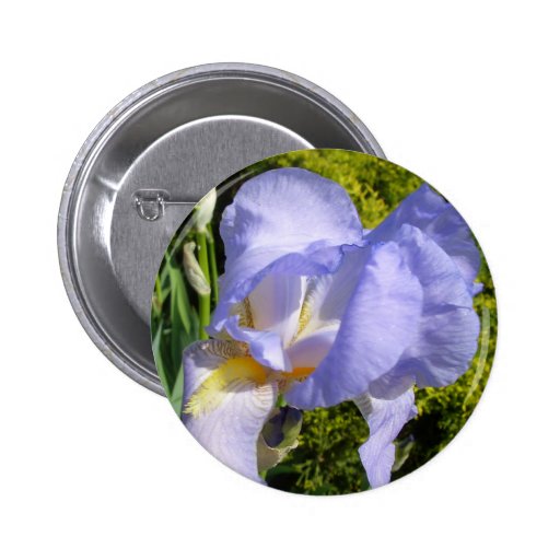 Purple Iris CricketDiane Art & Photography Button