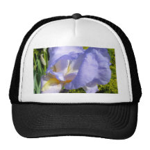 Purple Iris CricketDiane Art & Photography Hat