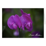 Purple Iris Floral Photo Mother's Day Greeting Cards