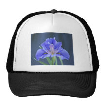Purple Iris flower Mesh Hats