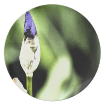 Purple Iris Flower Plate