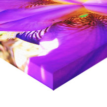 Purple Iris Gallery Wrapped Canvas