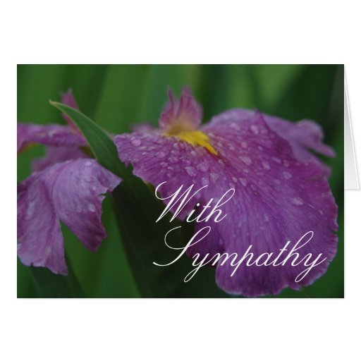 Purple Iris Greeting Card