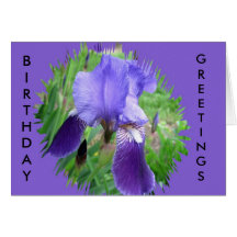 Purple Iris Greeting Card