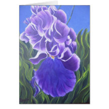 Purple Iris Greeting Cards