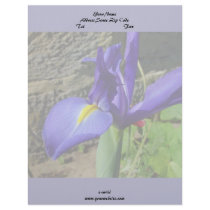 Purple Iris Letterhead