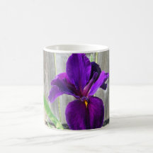 Purple Iris Mugs