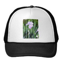 purple iris with the moring dew trucker hats