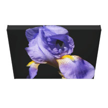 Purple Iris Wrapped Canvas Canvas Print