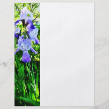 Purple Irises in Suburbs Full Colour Flyer